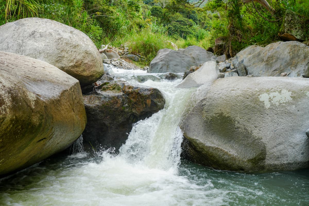 Un Día de Aventura a Través de la Naturaleza