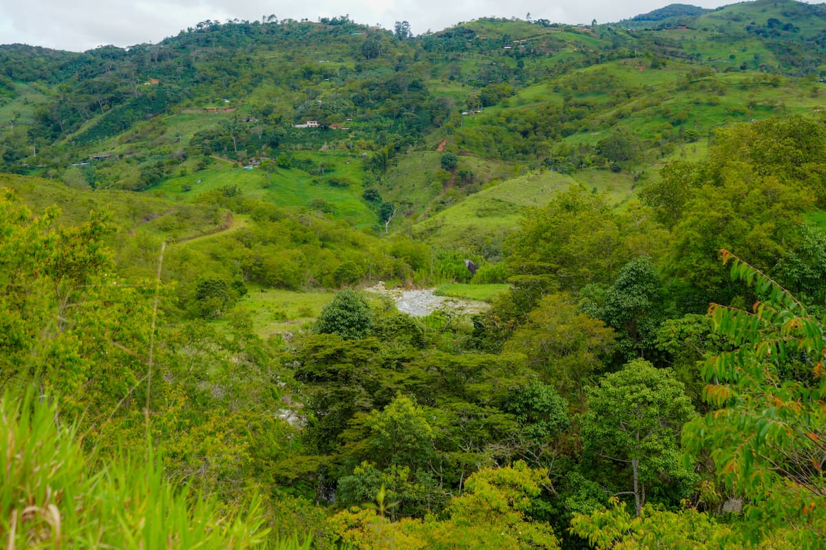 Un Día de Aventura a Través de la Naturaleza