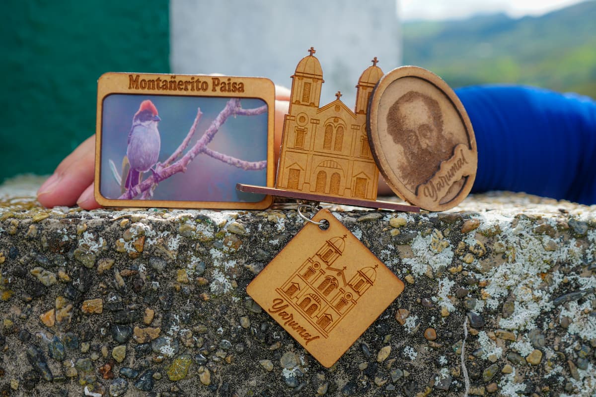 Un Día de Aventura a Través de la Naturaleza