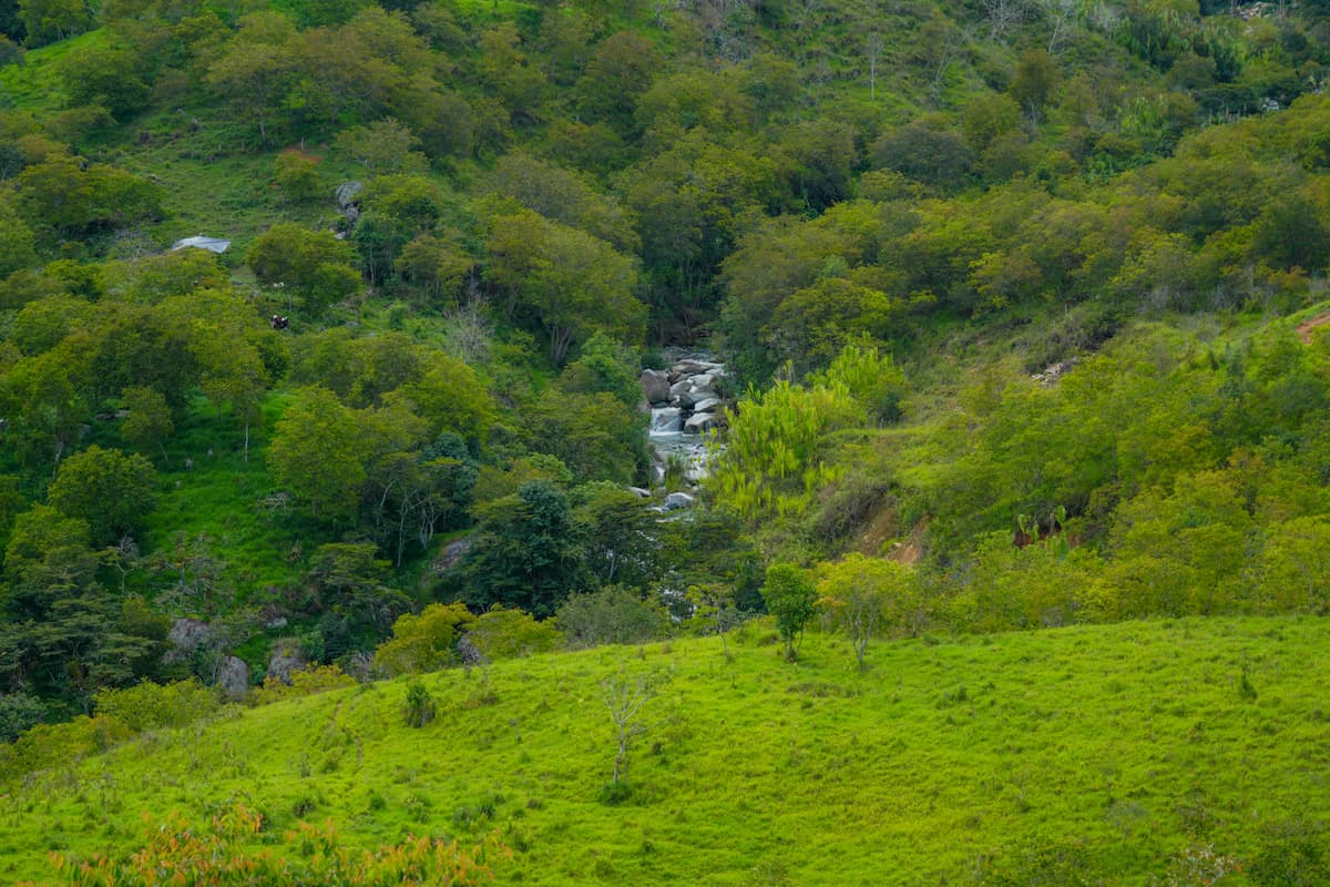 Un Día de Aventura a Través de la Naturaleza